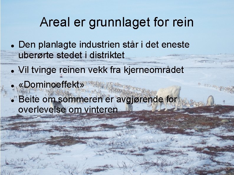 Areal er grunnlaget for rein Den planlagte industrien står i det eneste uberørte stedet