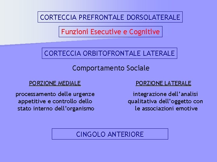 CORTECCIA PREFRONTALE DORSOLATERALE Funzioni Esecutive e Cognitive CORTECCIA ORBITOFRONTALE LATERALE Comportamento Sociale PORZIONE MEDIALE