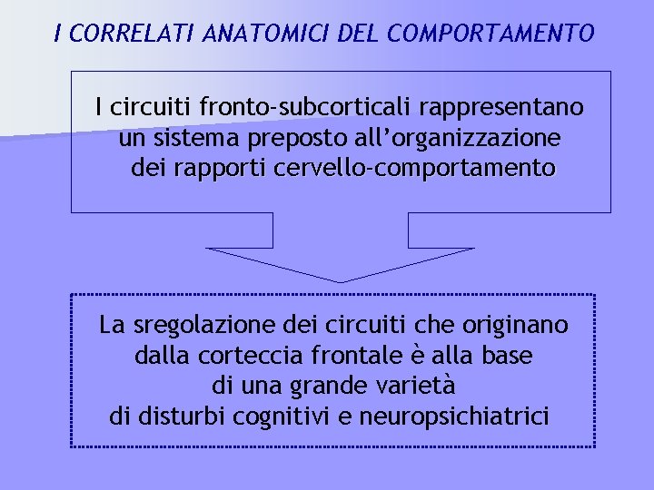 I CORRELATI ANATOMICI DEL COMPORTAMENTO I circuiti fronto-subcorticali rappresentano un sistema preposto all’organizzazione dei