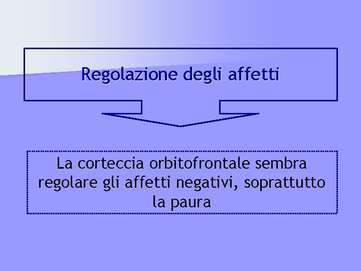 Regolazione degli affetti La corteccia orbitofrontale sembra regolare gli affetti negativi, soprattutto la paura