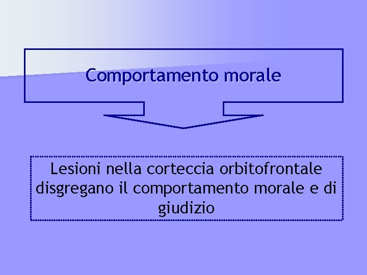 Comportamento morale Lesioni nella corteccia orbitofrontale disgregano il comportamento morale e di giudizio 