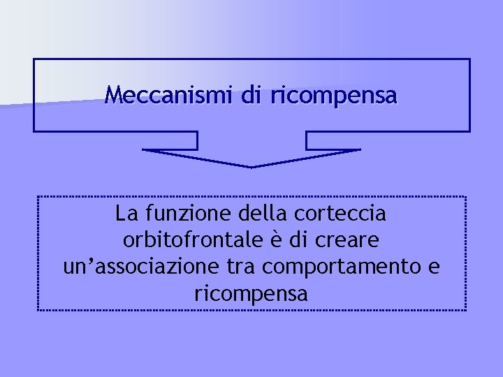 Meccanismi di ricompensa La funzione della corteccia orbitofrontale è di creare un’associazione tra comportamento