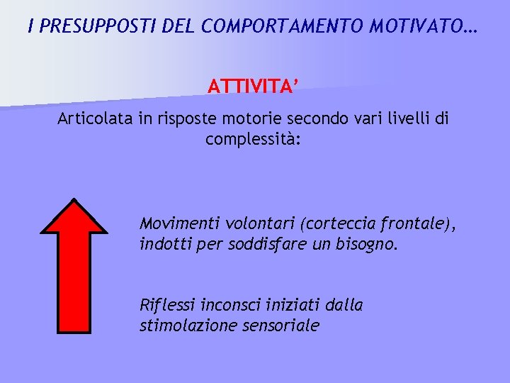 I PRESUPPOSTI DEL COMPORTAMENTO MOTIVATO… ATTIVITA’ Articolata in risposte motorie secondo vari livelli di