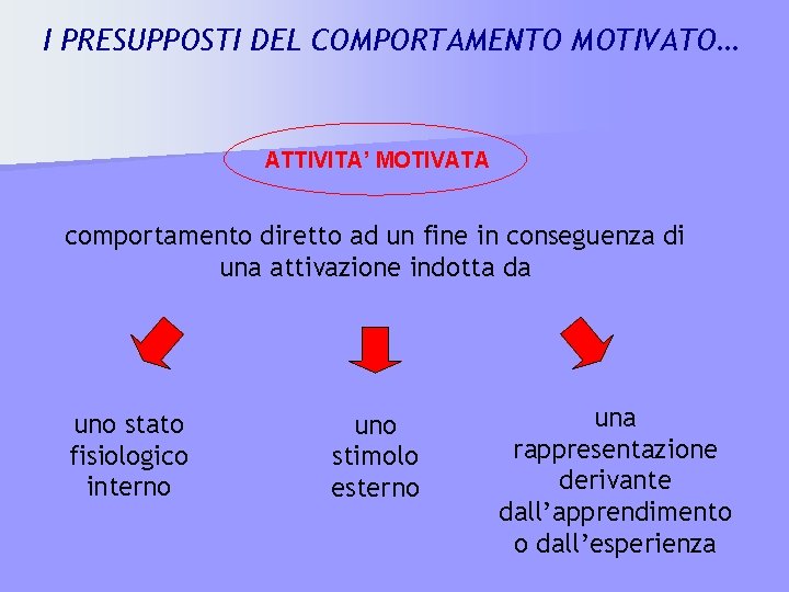 I PRESUPPOSTI DEL COMPORTAMENTO MOTIVATO… ATTIVITA’ MOTIVATA comportamento diretto ad un fine in conseguenza