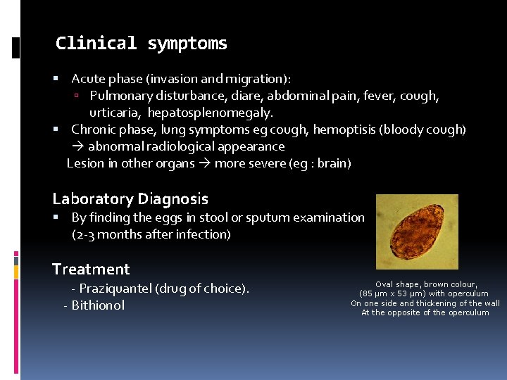 Clinical symptoms Acute phase (invasion and migration): Pulmonary disturbance, diare, abdominal pain, fever, cough,