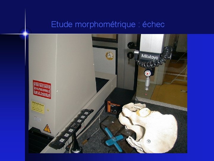 Etude morphométrique : échec 