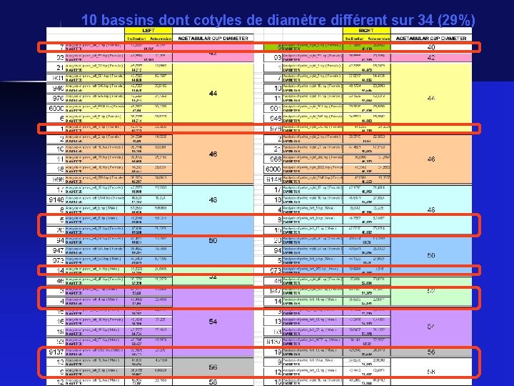 10 bassins dont cotyles de diamètre différent sur 34 (29%) 