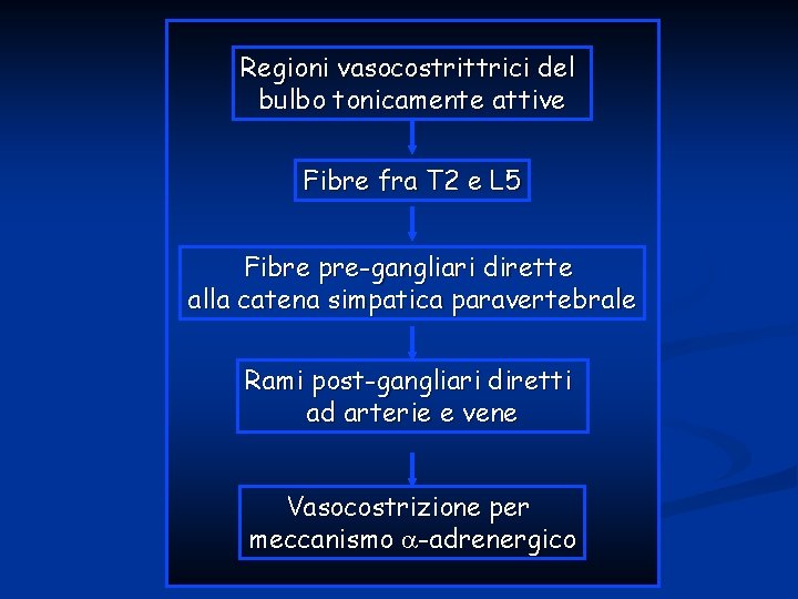 Regioni vasocostrittrici del bulbo tonicamente attive Fibre fra T 2 e L 5 Fibre