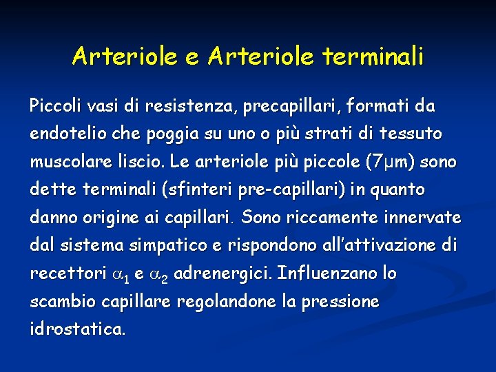 Arteriole e Arteriole terminali Piccoli vasi di resistenza, precapillari, formati da endotelio che poggia