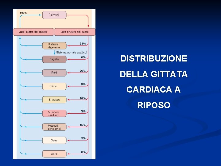 DISTRIBUZIONE DELLA GITTATA CARDIACA A RIPOSO 