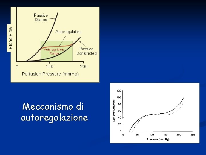 Meccanismo di autoregolazione 