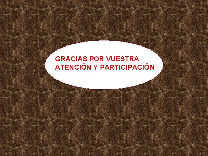 GRACIAS POR VUESTRA ATENCIÓN Y PARTICIPACIÓN 