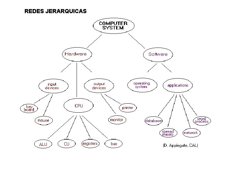 REDES JERARQUICAS 