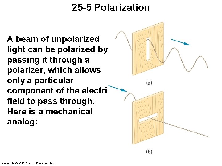 25 -5 Polarization A beam of unpolarized light can be polarized by passing it