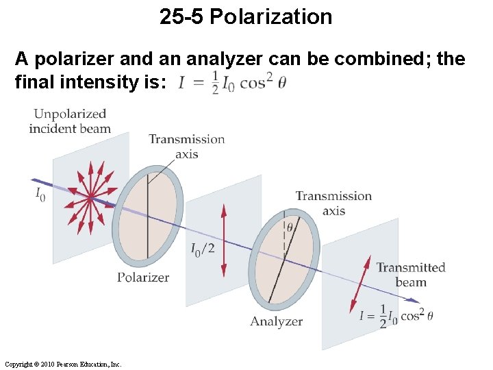25 -5 Polarization A polarizer and an analyzer can be combined; the final intensity
