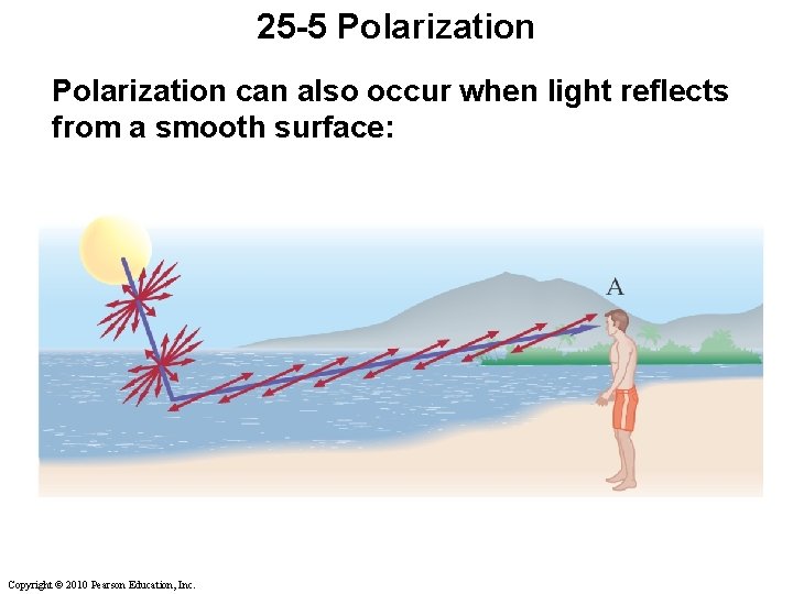 25 -5 Polarization can also occur when light reflects from a smooth surface: Copyright