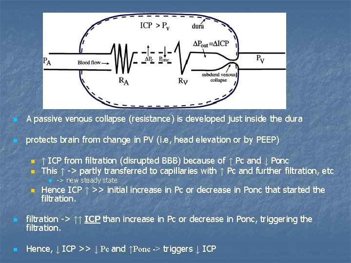 n A passive venous collapse (resistance) is developed just inside the dura n protects