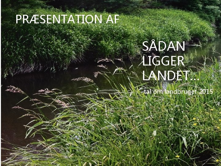 1 PRÆSENTATION AF SÅDAN LIGGER LANDET… - tal om landbruget 2015 