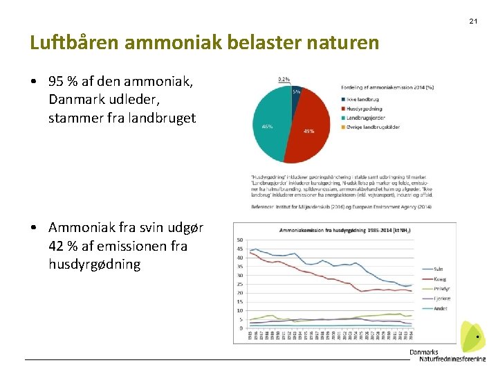 21 Luftbåren ammoniak belaster naturen • 95 % af den ammoniak, Danmark udleder, stammer
