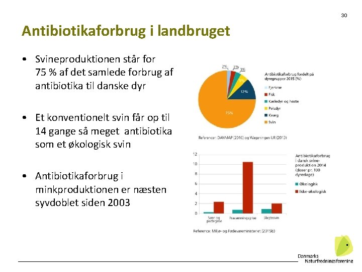 30 Antibiotikaforbrug i landbruget • Svineproduktionen står for 75 % af det samlede forbrug