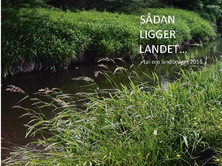 47 SÅDAN LIGGER LANDET… - tal om landbruget 2015 