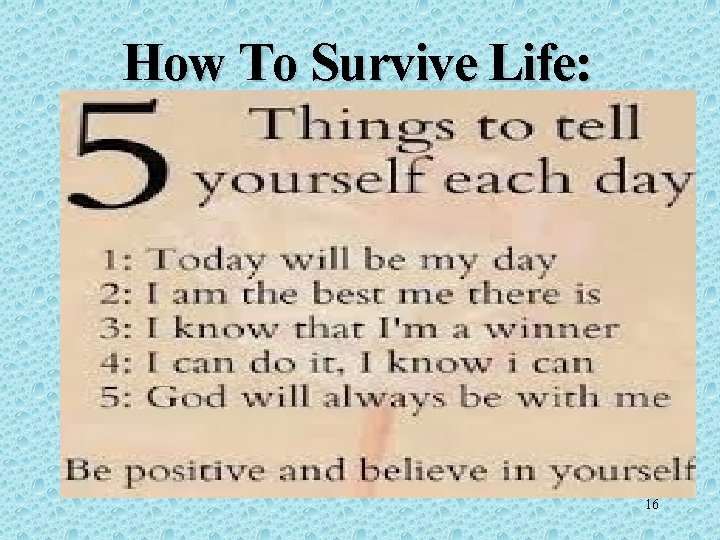 How To Survive Life: 16 