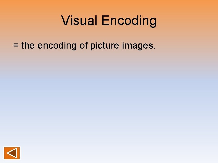 Visual Encoding = the encoding of picture images. 