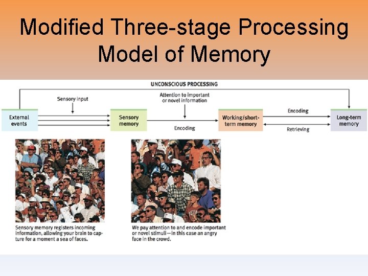 Modified Three-stage Processing Model of Memory 