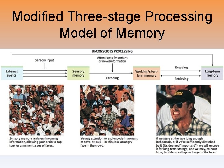 Modified Three-stage Processing Model of Memory 