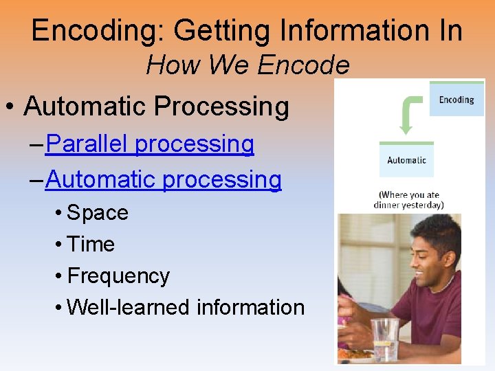 Encoding: Getting Information In How We Encode • Automatic Processing – Parallel processing –