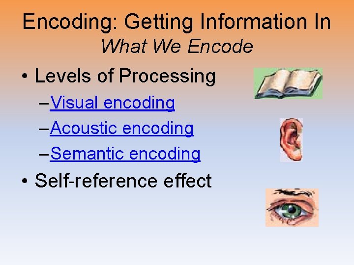 Encoding: Getting Information In What We Encode • Levels of Processing – Visual encoding