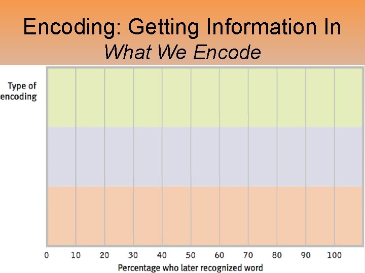 Encoding: Getting Information In What We Encode 