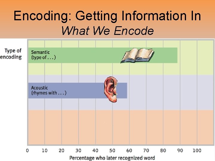 Encoding: Getting Information In What We Encode 