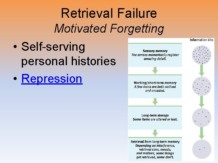 Retrieval Failure Motivated Forgetting • Self-serving personal histories • Repression 
