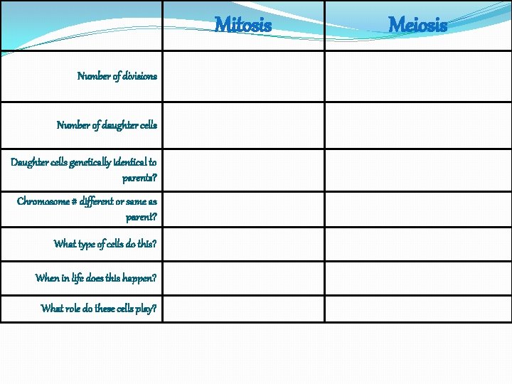 Mitosis Number of divisions Number of daughter cells Daughter cells genetically identical to parents?