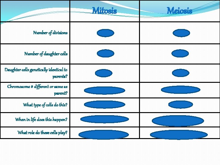 Mitosis Meiosis Number of divisions 1 2 Number of daughter cells 2 4 Daughter