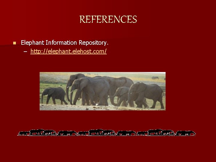 REFERENCES n Elephant Information Repository. – http: //elephant. elehost. com/ 