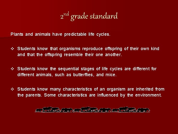 2 nd grade standard Plants and animals have predictable life cycles. v Students know