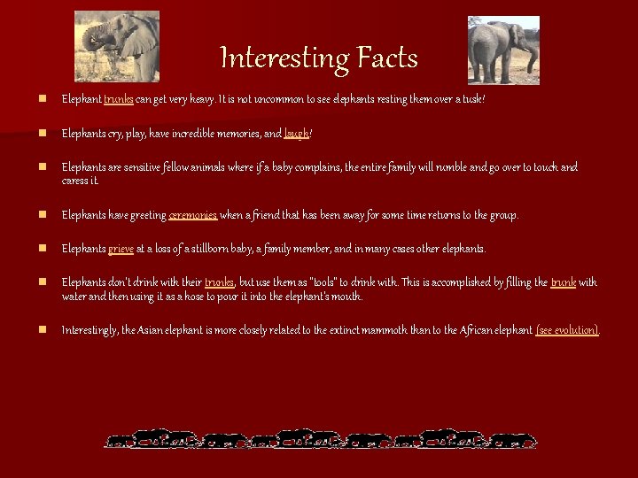 Interesting Facts n Elephant trunks can get very heavy. It is not uncommon to