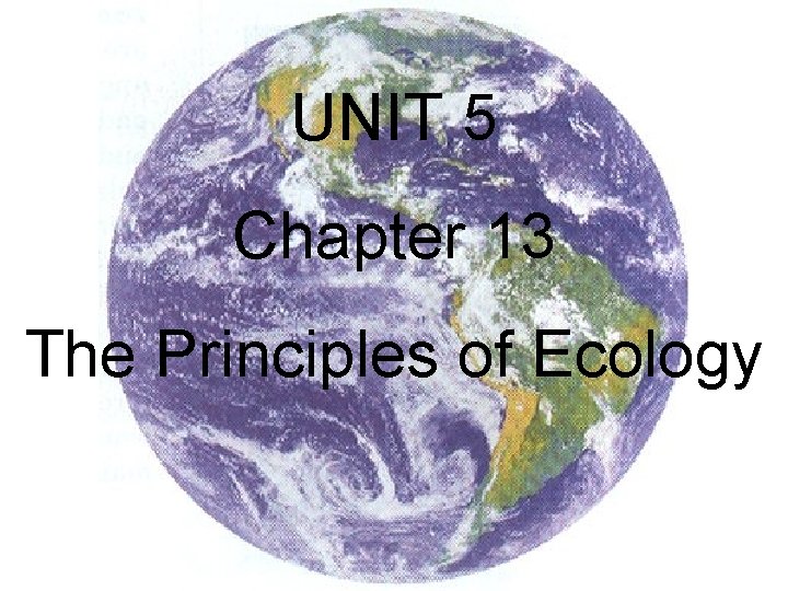 UNIT 5 Chapter 13 The Principles of Ecology 