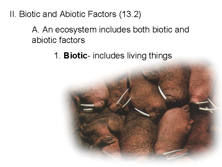 II. Biotic and Abiotic Factors (13. 2) A. An ecosystem includes both biotic and