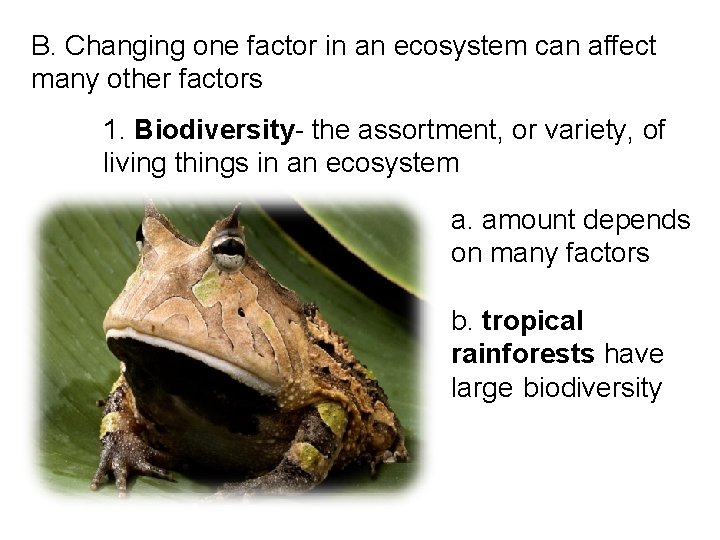 B. Changing one factor in an ecosystem can affect many other factors 1. Biodiversity-