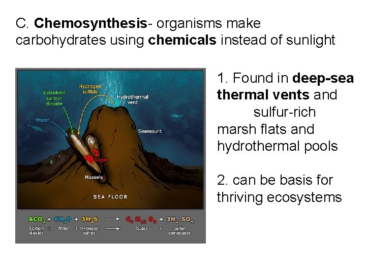 C. Chemosynthesis- organisms make carbohydrates using chemicals instead of sunlight 1. Found in deep-sea