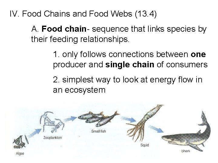 IV. Food Chains and Food Webs (13. 4) A. Food chain- sequence that links