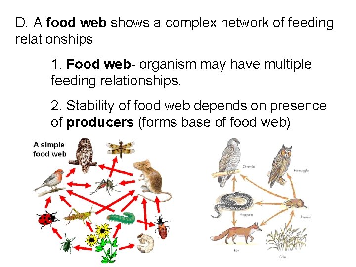 D. A food web shows a complex network of feeding relationships 1. Food web-