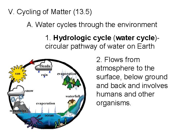 V. Cycling of Matter (13. 5) A. Water cycles through the environment 1. Hydrologic