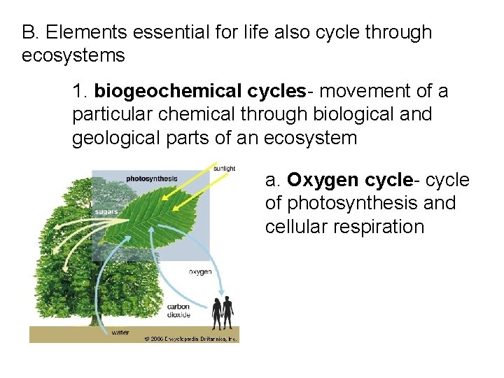 B. Elements essential for life also cycle through ecosystems 1. biogeochemical cycles- movement of