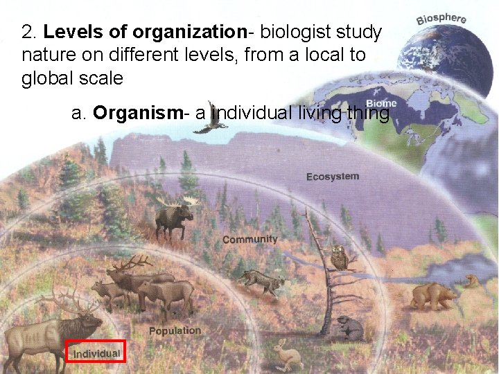 2. Levels of organization- biologist study nature on different levels, from a local to