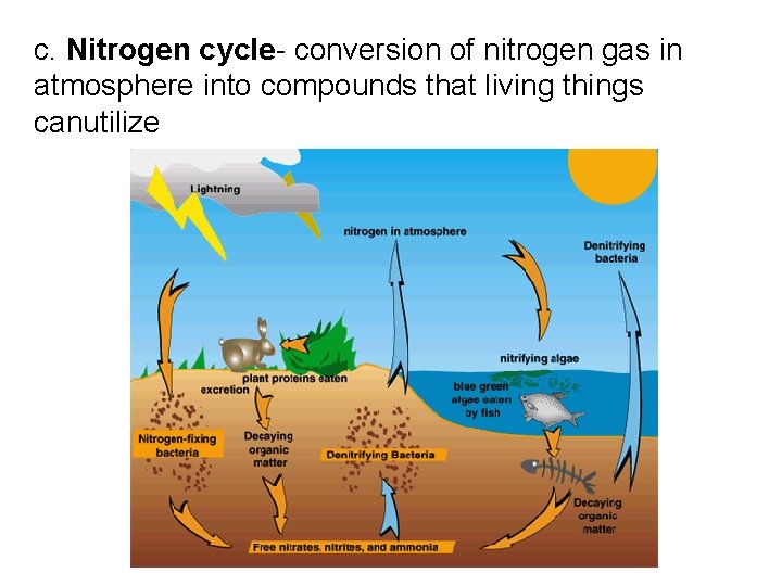 c. Nitrogen cycle- conversion of nitrogen gas in atmosphere into compounds that living things