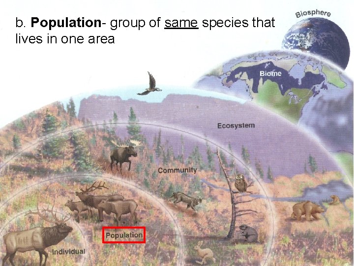 b. Population- group of same species that lives in one area 